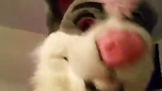 Female Fursuit Sex 1