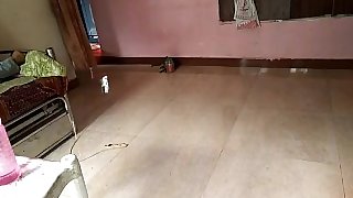 Cat sex video